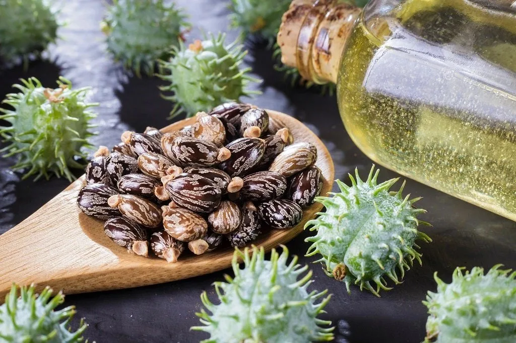 5 Best Hair Oils for Dry Hair