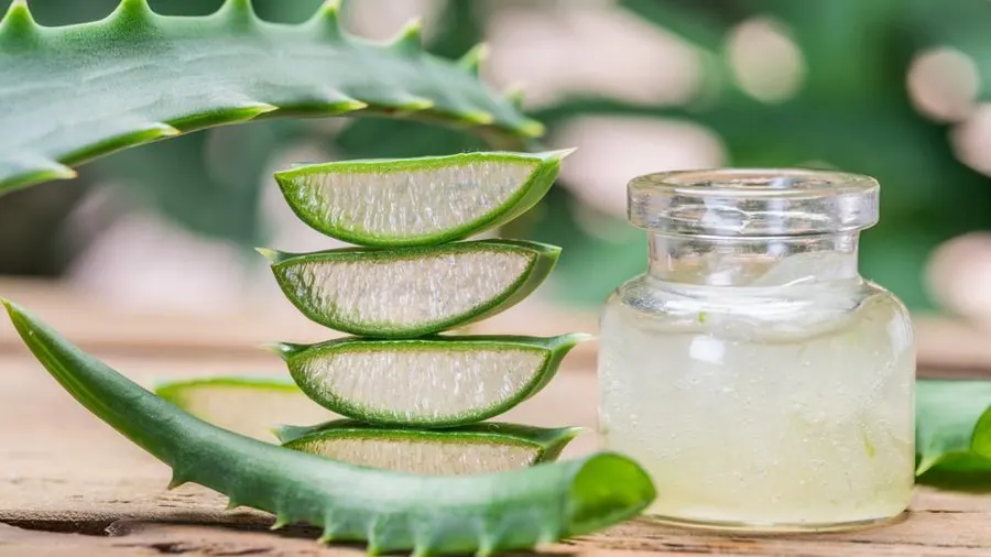 Aloe Vera Juice