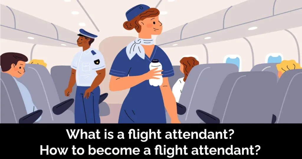 Flight Attendant